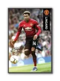 lingard-plakat-61x915cm-stan-nowy