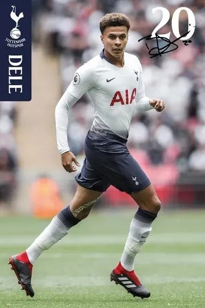 dele-plakat-61x915cm