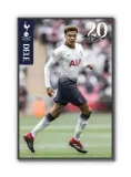 dele-plakat-61x915cm-stan-nowy