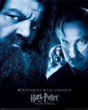 harry-potter-plakat-40x50cm