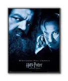 harry-potter-plakat-40x50cm-stan-nowy