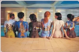 pink-floyd-plakat-915x61cm