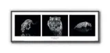 w-ciemnosci-plakat-90x30cm-stan-nowy