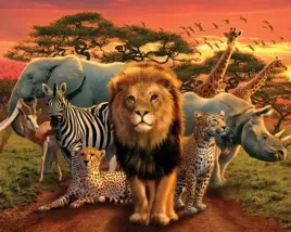 african-kingdom-plakat-50x40cm