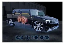 bad-to-the-bone-plakat-915x61cm