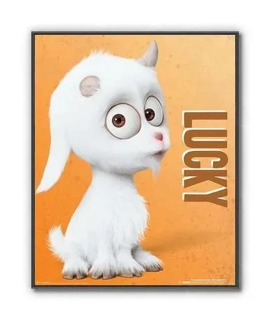 lucky-plakat-40x50cm-stan-nowy