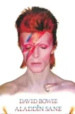 david-bowie-plakat-61x915cm