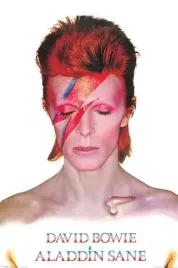 david-bowie-plakat-61x915cm
