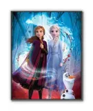 frozen-2-plakat-40x50cm-stan-nowy
