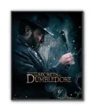fantastic-beasts-plakat-40x50cm-stan-nowy