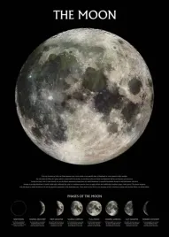the-moon-phases-plakat-61x915cm