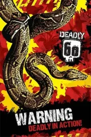 deadly-plakat-61x915cm