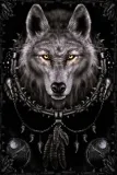 wolf-dreams-plakat-61x915cm