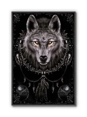 wolf-dreams-plakat-61x915cm-stan-nowy