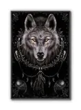 wolf-dreams-plakat-61x915cm-stan-nowy