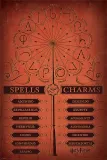 harry-potter-plakat-61x915cm