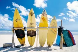 sun-sea-surf-plakat-915x61cm