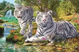 white-tiger-plakat-915x61cm