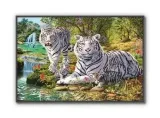 white-tiger-plakat-915x61cm-stan-nowy