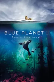 niebieska-planeta-2-plakat-61x915cm