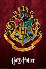 harry-potter-plakat-61x915cm