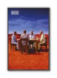 muse-plakat-61x915cm-stan-nowy