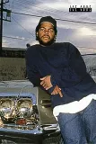 ice-cube-plakat-61x915cm
