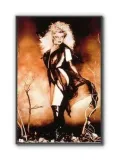 she-devil-plakat-61x915cm-stan-nowy
