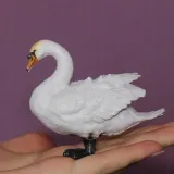 labedz-niemy-marka-collecta