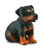 pies-rottweiler-szczeniak