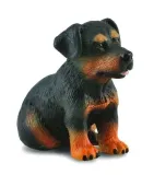 pies-rottweiler-szczeniak-bohater-brak