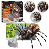 tarantula-rc-czarna-plec-chlopcy-dziewczynki