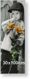 rama-aluminiowa-do-zdjecia-lub-plakatu-30x100cm-srebrny-matowy