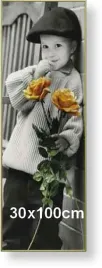 rama-aluminiowa-do-zdjecia-lub-plakatu-30x100cm-zloty-matowy