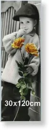 rama-aluminiowa-do-zdjecia-lub-plakatu-30x120cm-srebrny-matowy