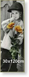 rama-aluminiowa-do-zdjecia-lub-plakatu-30x120cm-zloty-matowy