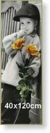 rama-aluminiowa-do-zdjecia-lub-plakatu-40x120cm-zloty-matowy