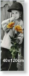 rama-aluminiowa-do-zdjecia-lub-plakatu-40x120cm-srebrny-matowy