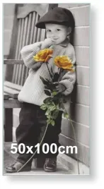 rama-aluminiowa-do-zdjecia-lub-plakatu-50x100cm-srebrny-matowy