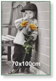 rama-aluminiowa-do-zdjecia-lub-plakatu-70x100cm-zielona