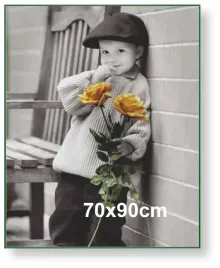 rama-aluminiowa-do-zdjecia-lub-plakatu-70x90cm-zielona