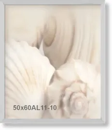rama-aluminiowa-szeroka-do-zdjecia-lub-plakatu-50x60cm-srebrny-matowy