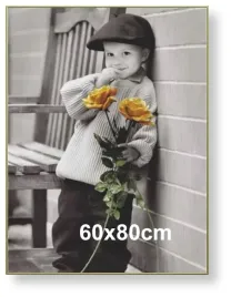 rama-aluminiowa-do-zdjecia-lub-plakatu-60x80cm-zloty-matowy