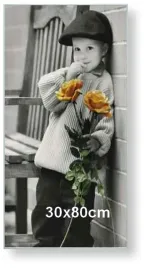 rama-aluminiowa-do-zdjecia-lub-plakatu-30x80cm-srebrny-matowy