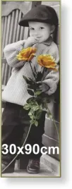 rama-aluminiowa-do-zdjecia-lub-plakatu-30x90cm-zloty-matowy