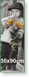 rama-aluminiowa-do-zdjecia-lub-plakatu-30x90cm-zielona