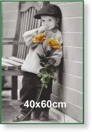 rama-aluminiowa-do-zdjecia-lub-plakatu-40x60cm-zielona