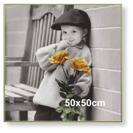 rama-aluminiowa-do-zdjecia-lub-plakatu-50x50cm-zloty-matowy