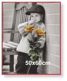 rama-aluminiowa-do-zdjecia-lub-plakatu-50x60cm-czerwona