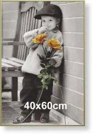 rama-aluminiowa-do-zdjecia-lub-plakatu-40x60cm-zloty-matowy